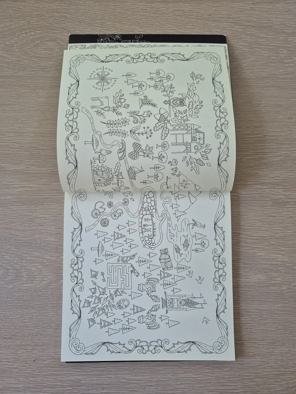 Enchanted Forest Coloring Book by — Cream & Gold